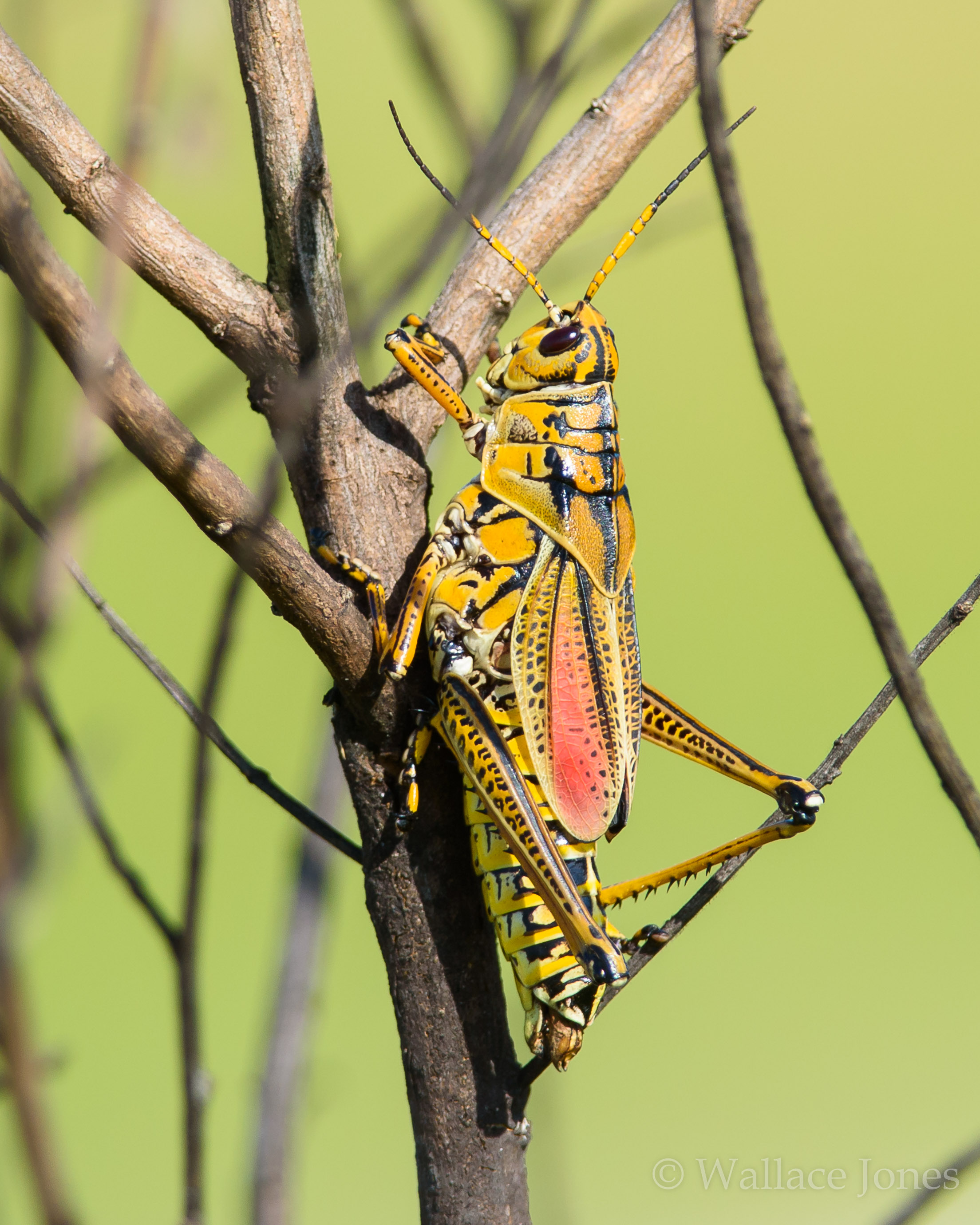 Colt Creek State Park