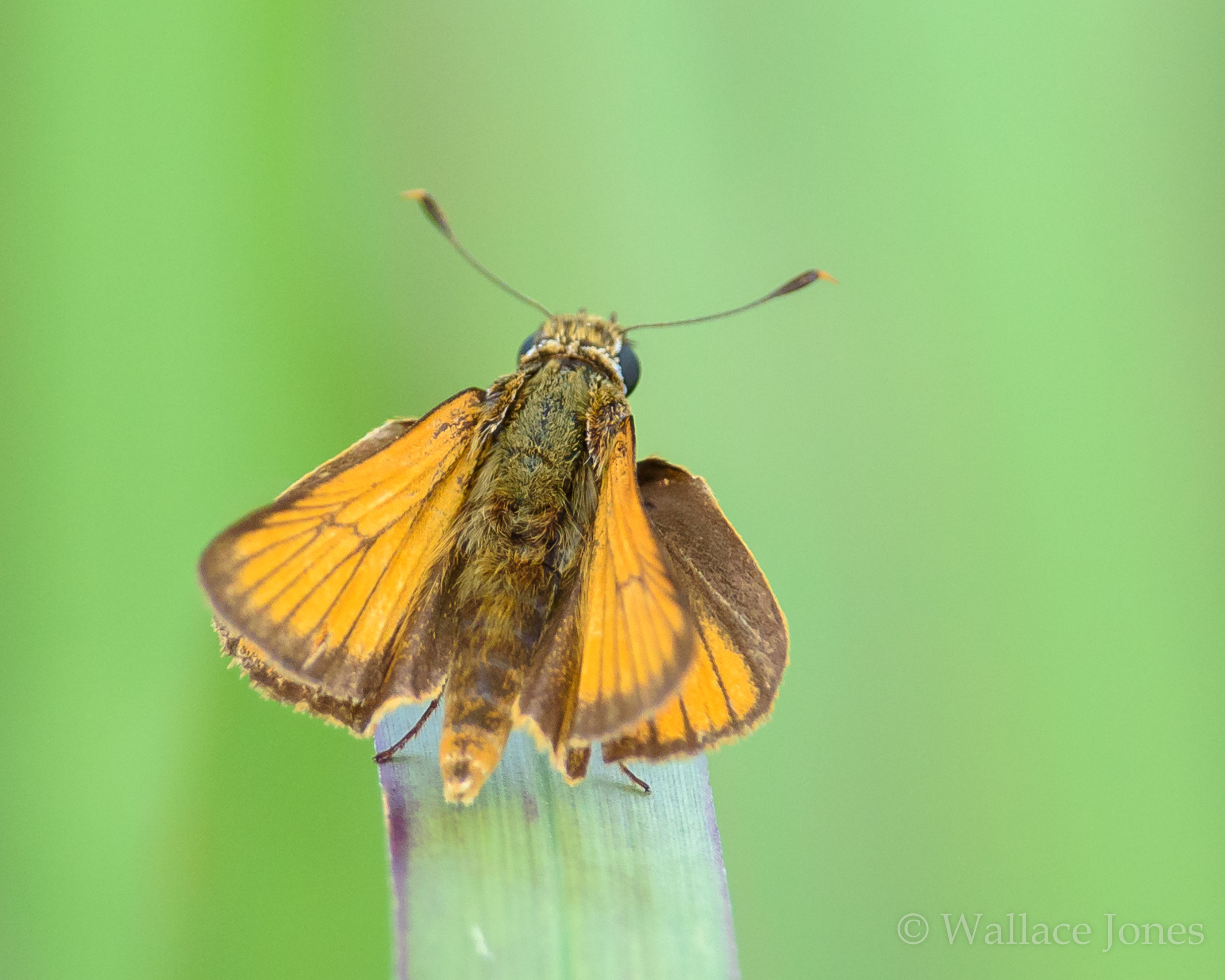 Colt Creek State Park