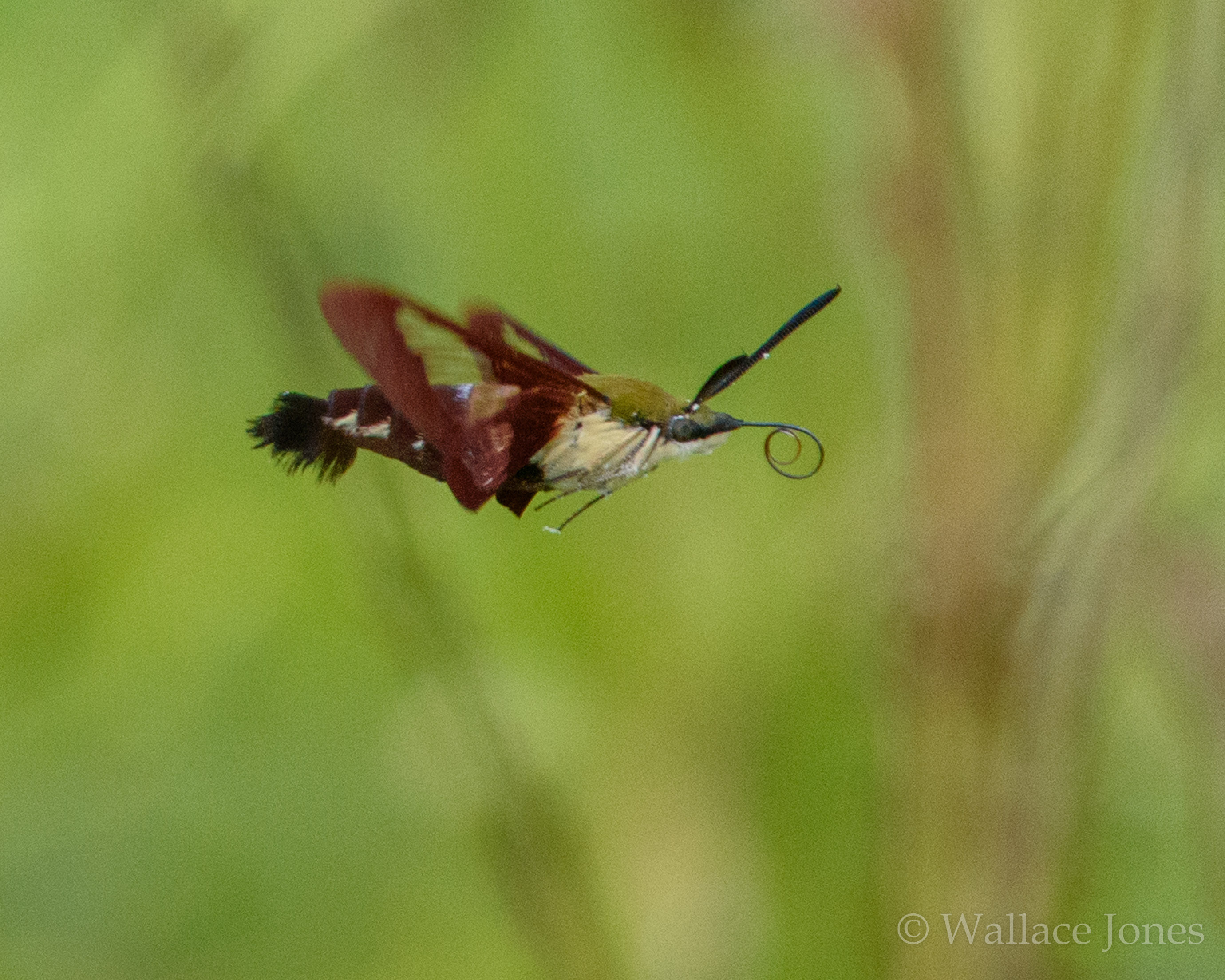 Colt Creek State Park