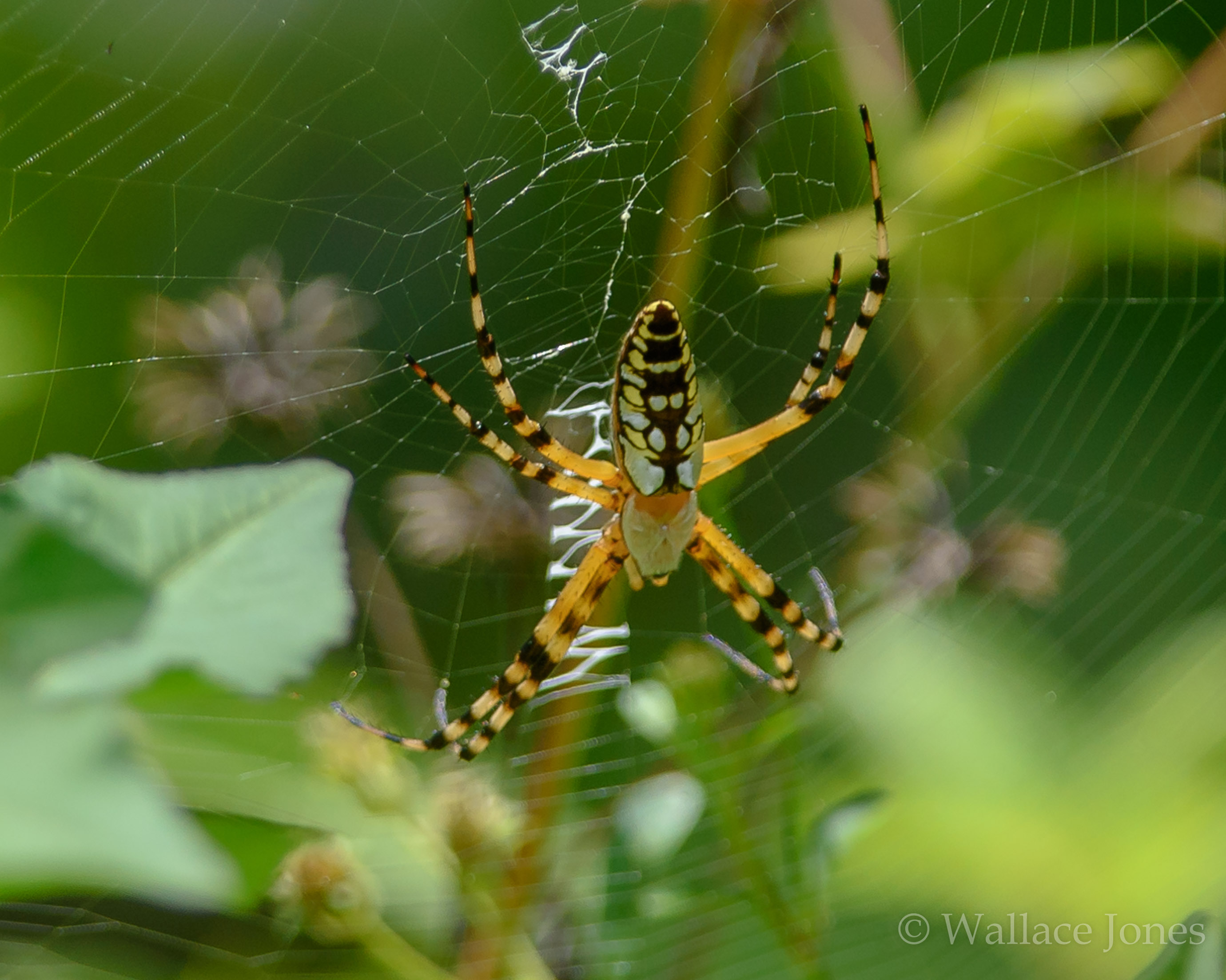 Colt Creek State Park