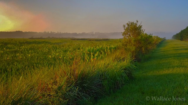 Itchepackesassa Creek Wetland