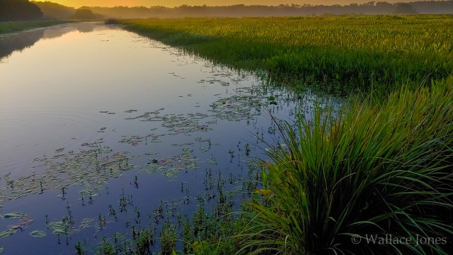 Itchepackesassa Creek Wetland