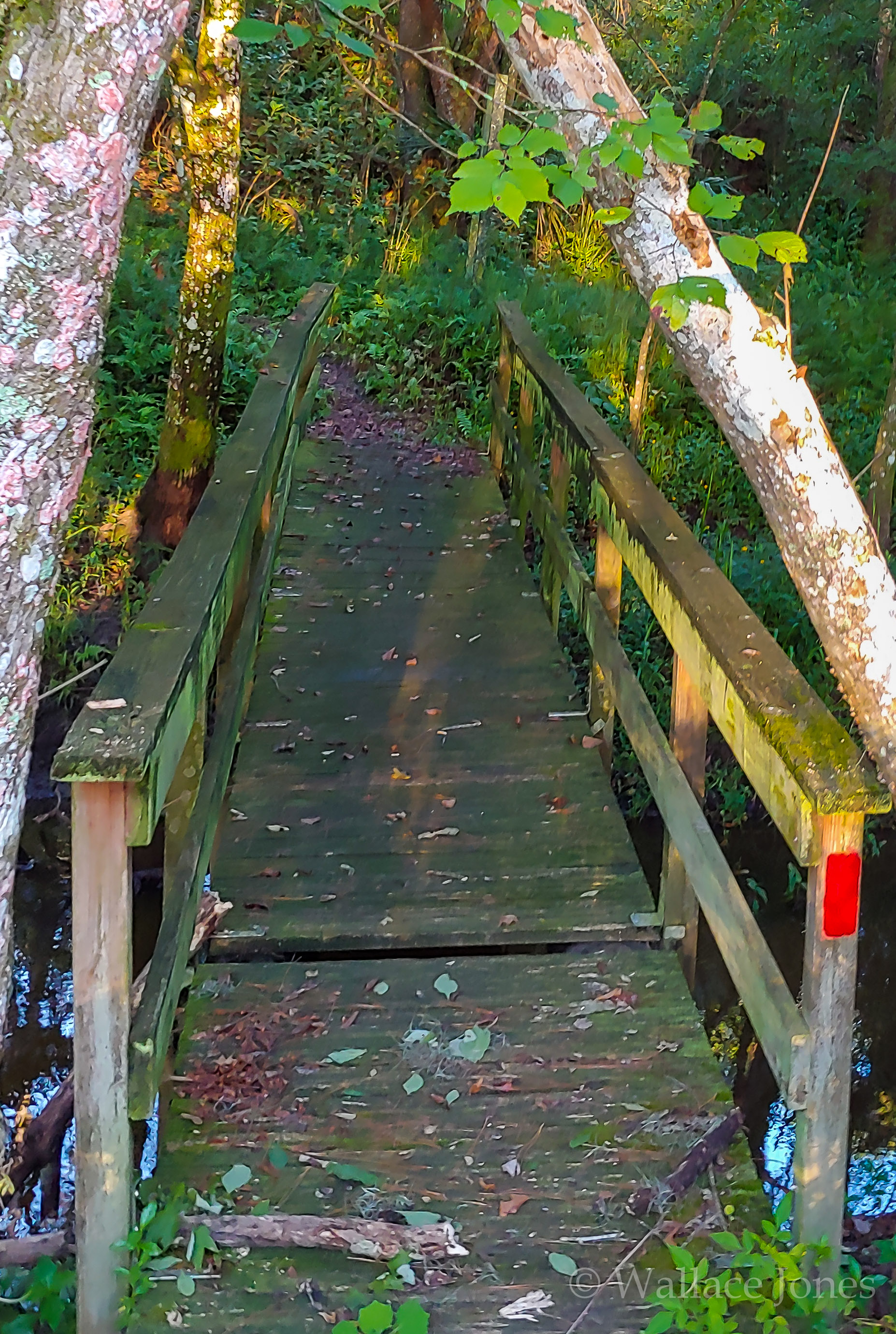 Tenoroc FMA Lost Lakes