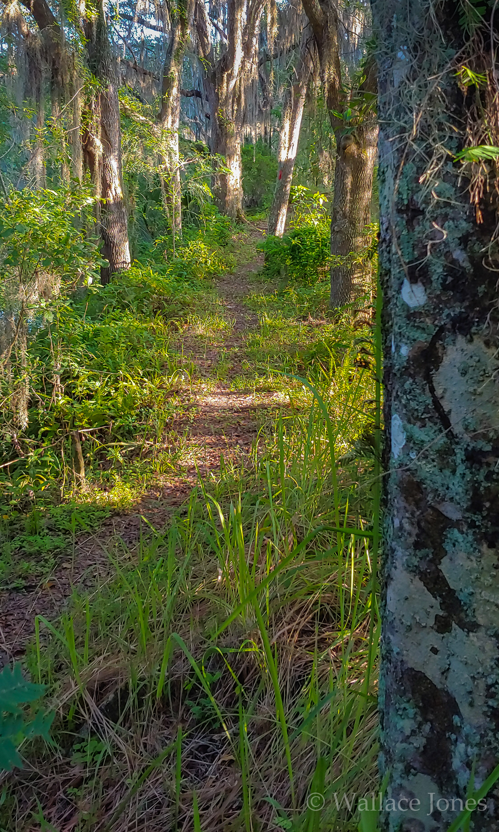 Tenoroc FMA Lost Lakes