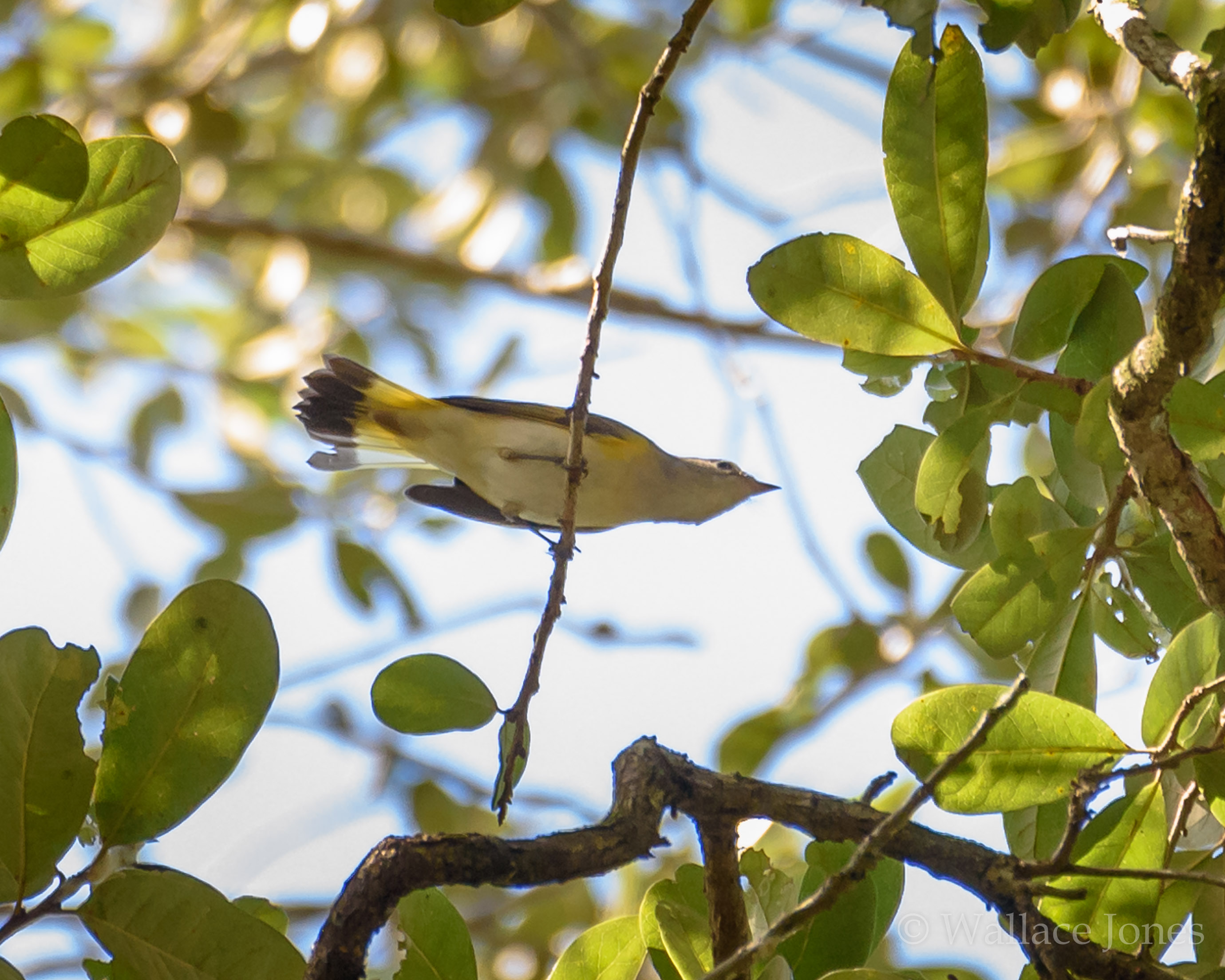 Tenoroc FMA Lost Lakes